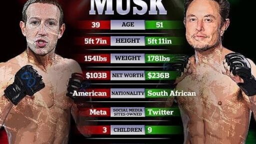 Elon Musk vs Mark Zuckerberg