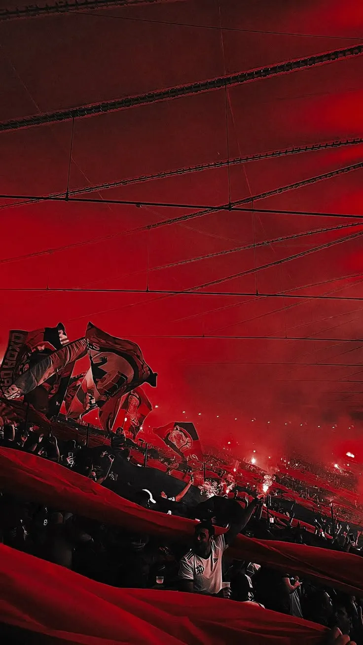 Flamengo Campeão Brasileiro Papel de Parede Wallpaper Mobile Flamengo Campeão Brasileiro Papel de Parede Wallpaper Mobile