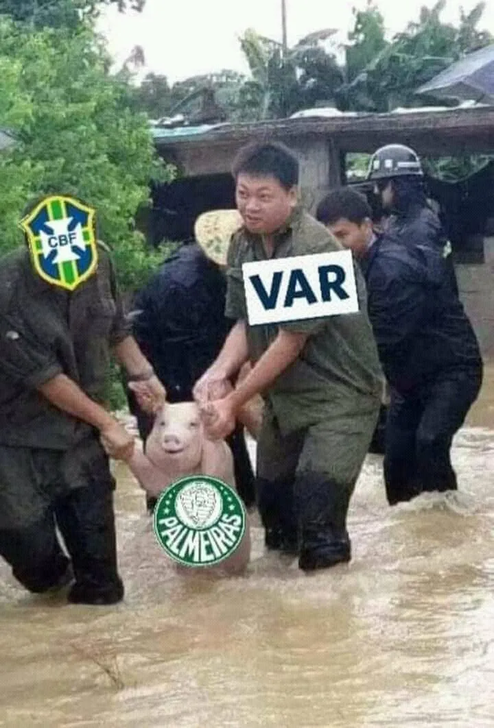 Porquinho sendo ajudado pelo var e cbf Porquinho sendo ajudado pelo var e cbf