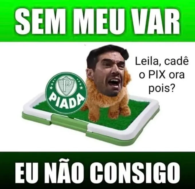 Sem meu var eu não consigo Palmeiras Sem meu var eu não consigo Palmeiras
