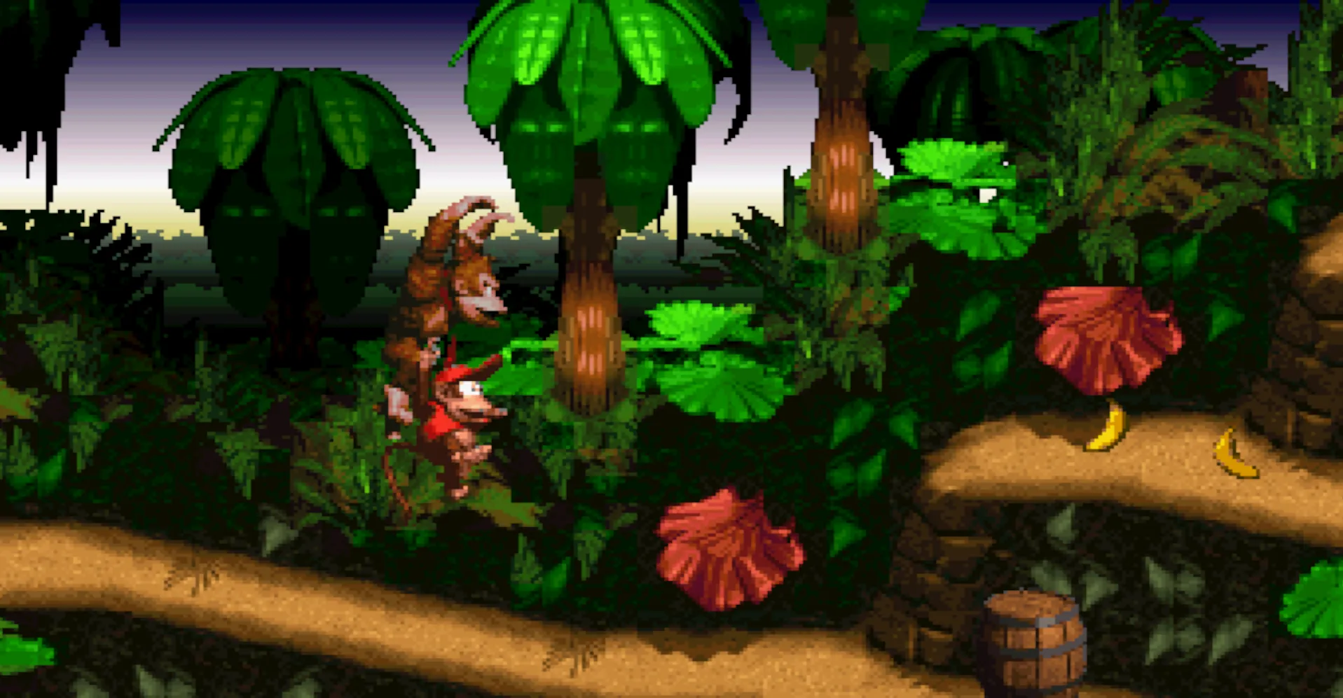 DONKEY KONG COUNTRY WIDESCREEN 