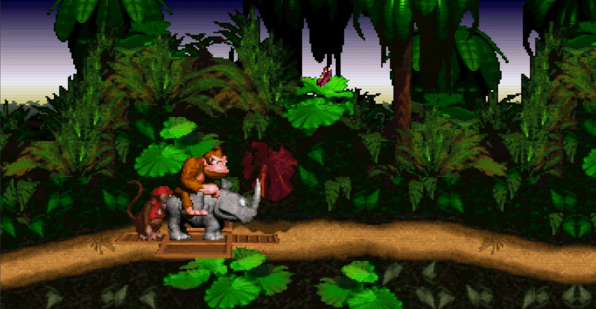 donkey kong widescreen