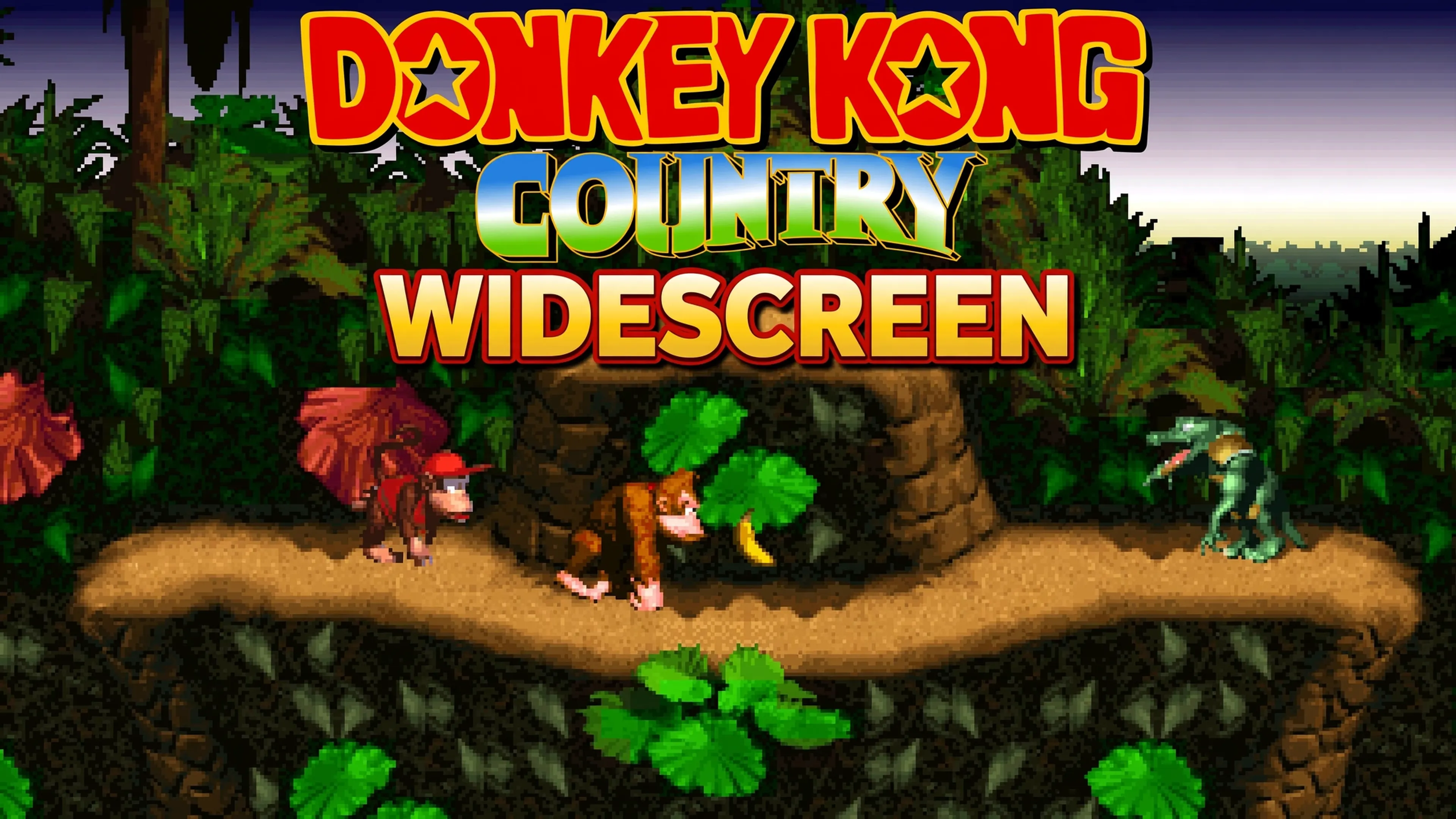 donkey kong widescreen K